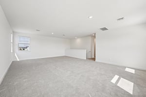 Blockbird Dr-S2702-025.jpg