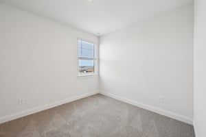 Blockbird Dr-S2702-031.jpg