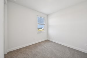 Blockbird Dr-S2702-033.jpg