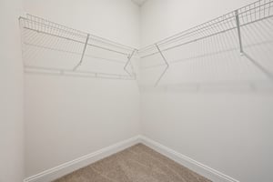 Blockbird Dr-S2702-035.jpg