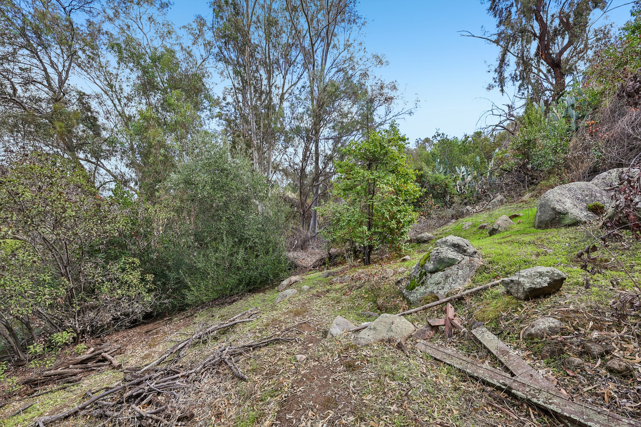 Emerald Heights Rd-S2310-061.jpg