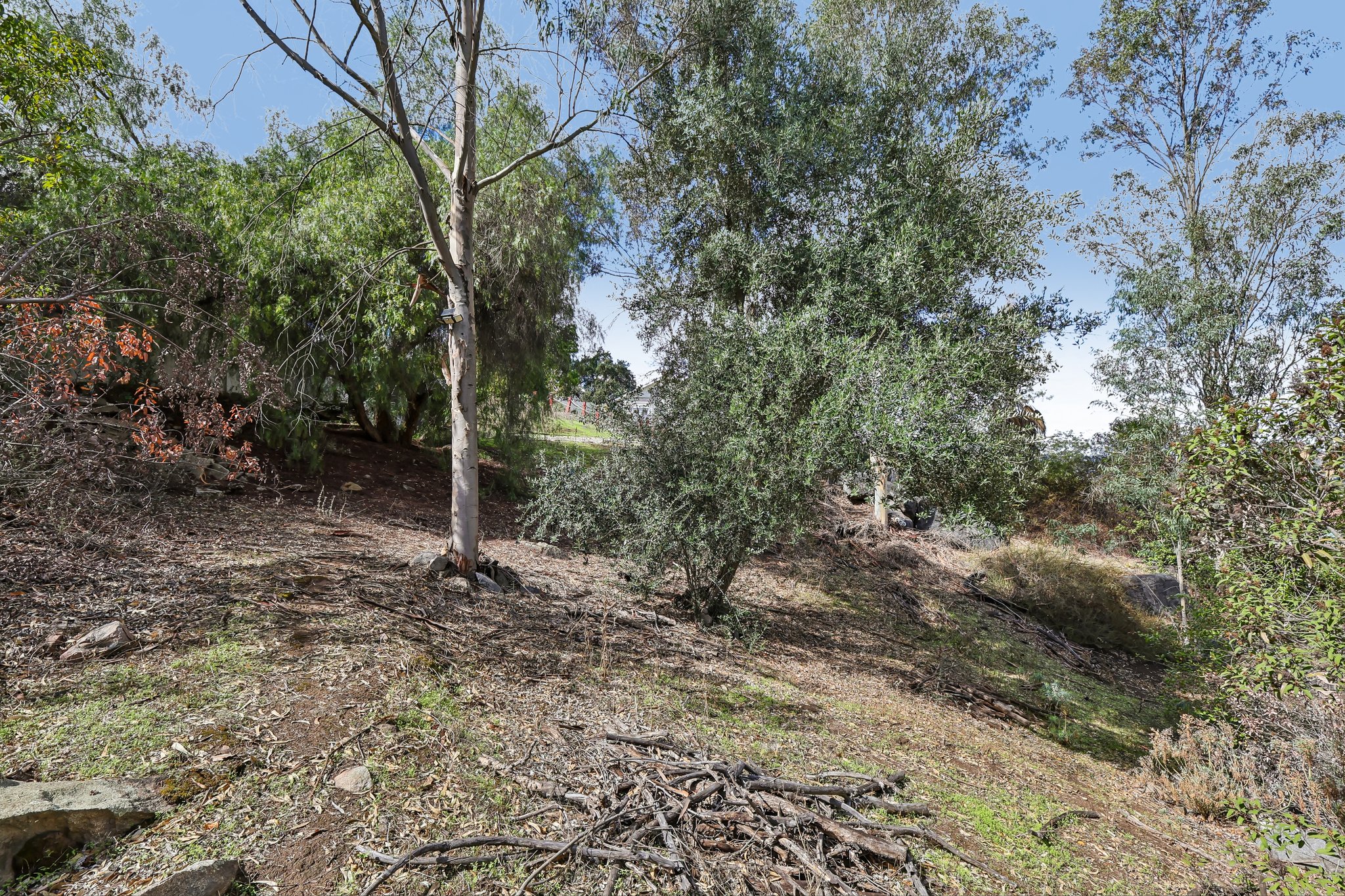Emerald Heights Rd-S2310-062.jpg
