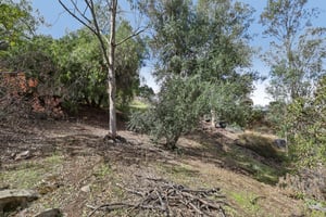 Emerald Heights Rd-S2310-062.jpg