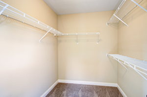 27 Primary Bedroom Walk-In Closet