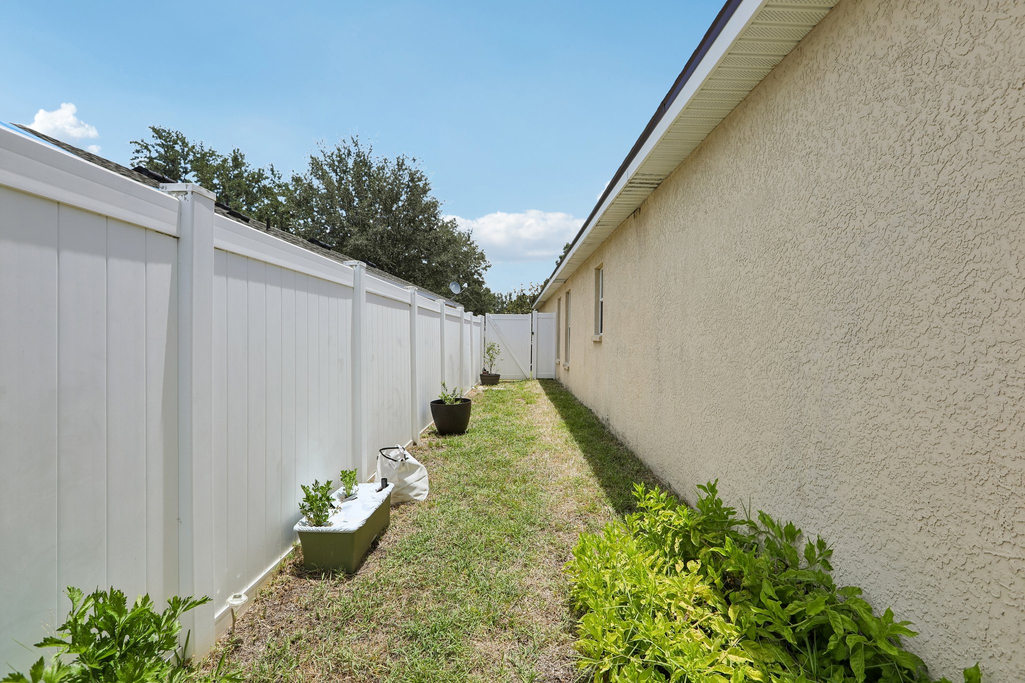Palm Island Ave-S2506-034.jpg