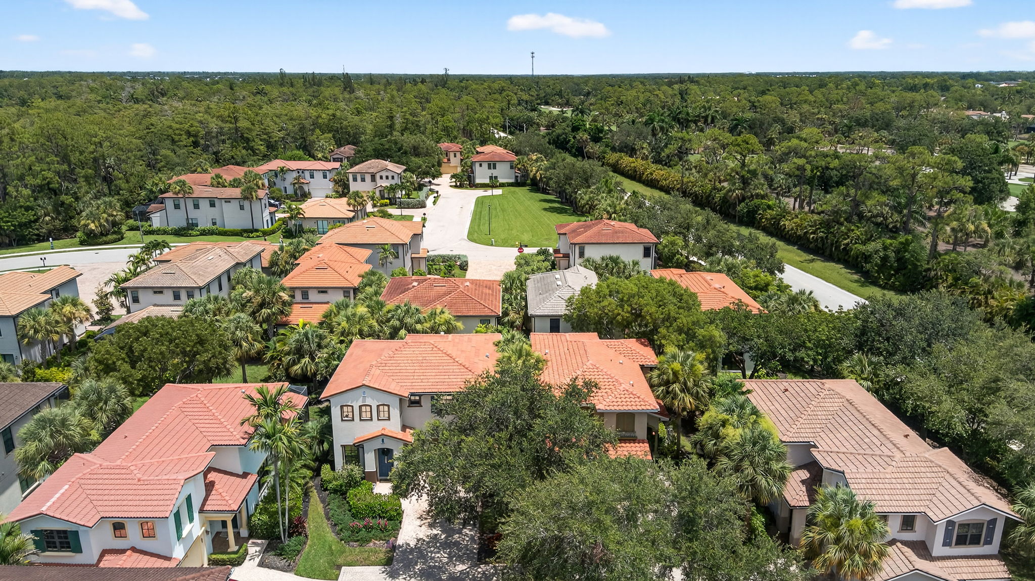 Aerial Front Exterior 1