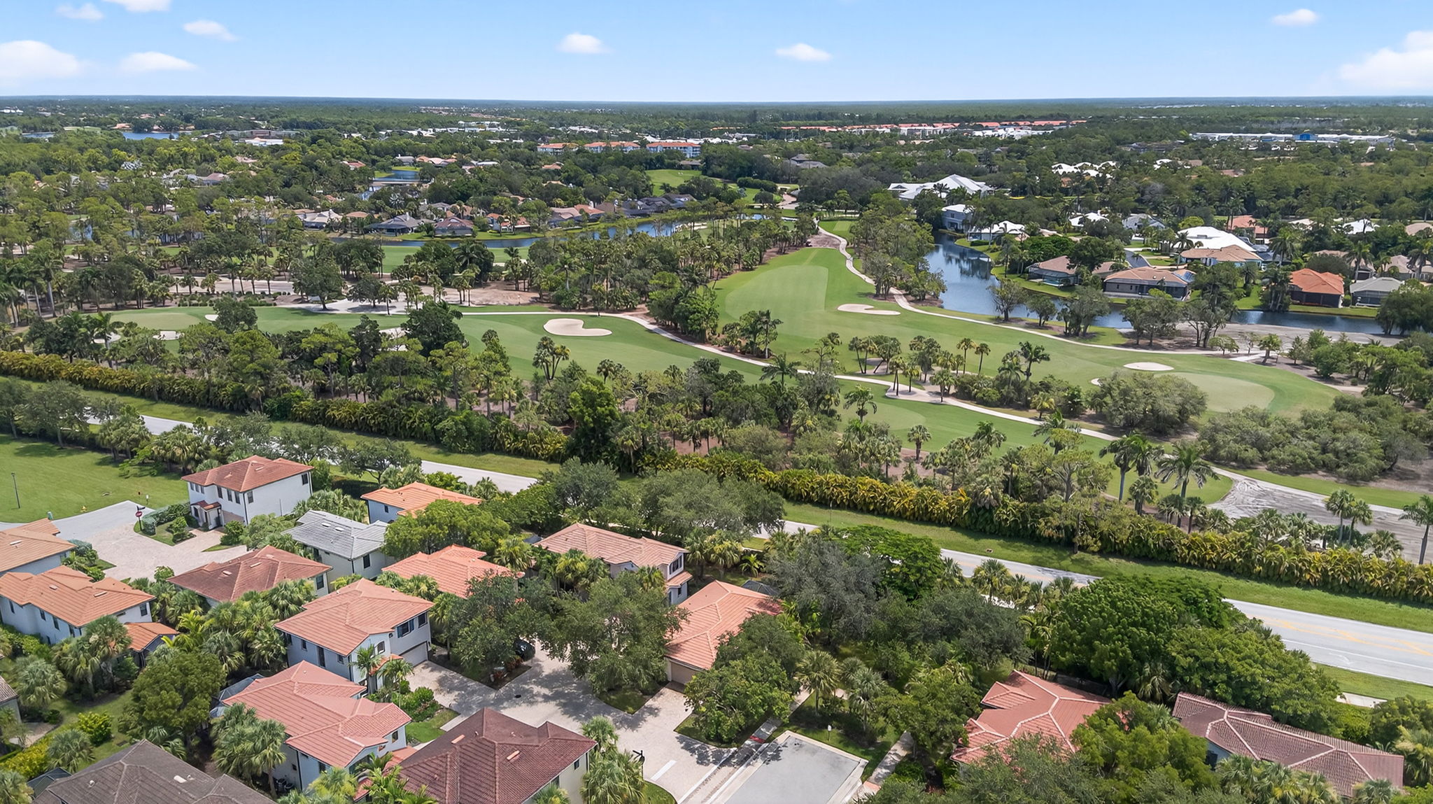 Aerial Front Exterior 4