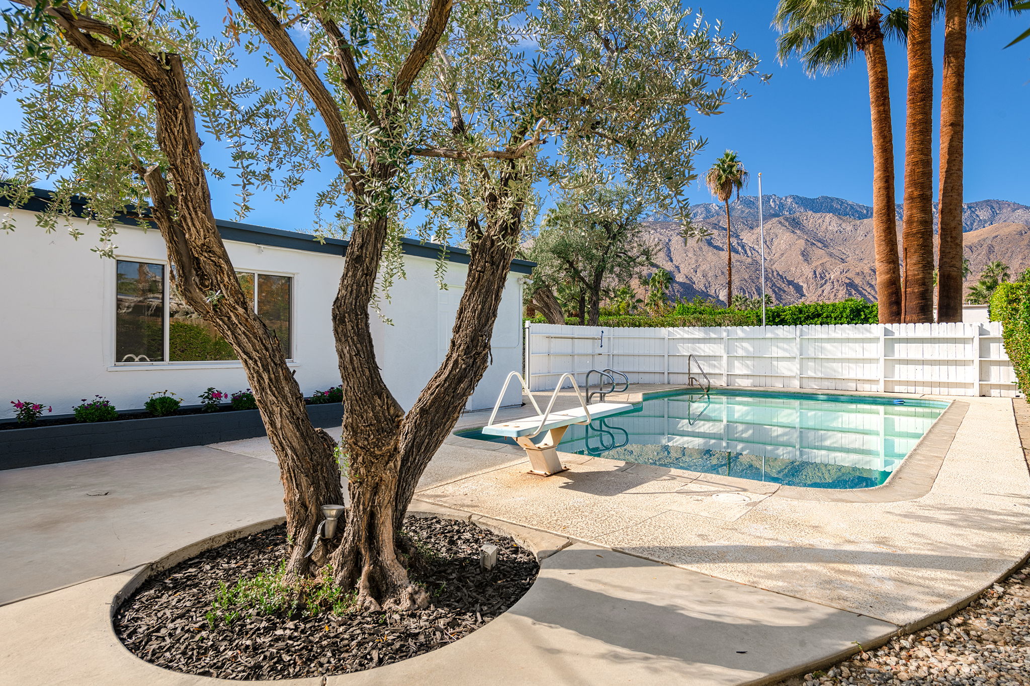  1134 N Calle Rolph, Palm Springs, CA 92262, US Photo 11