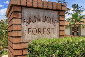 San Jose Forest