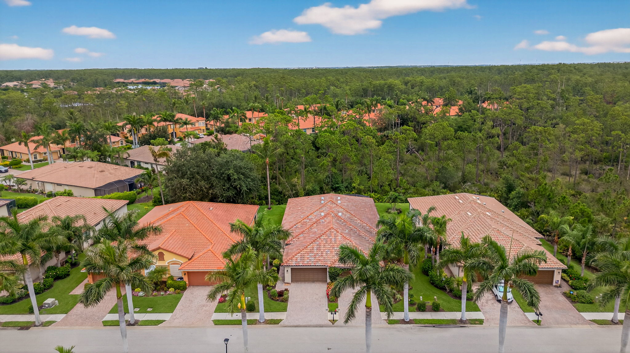 Aerial Front Exterior 2