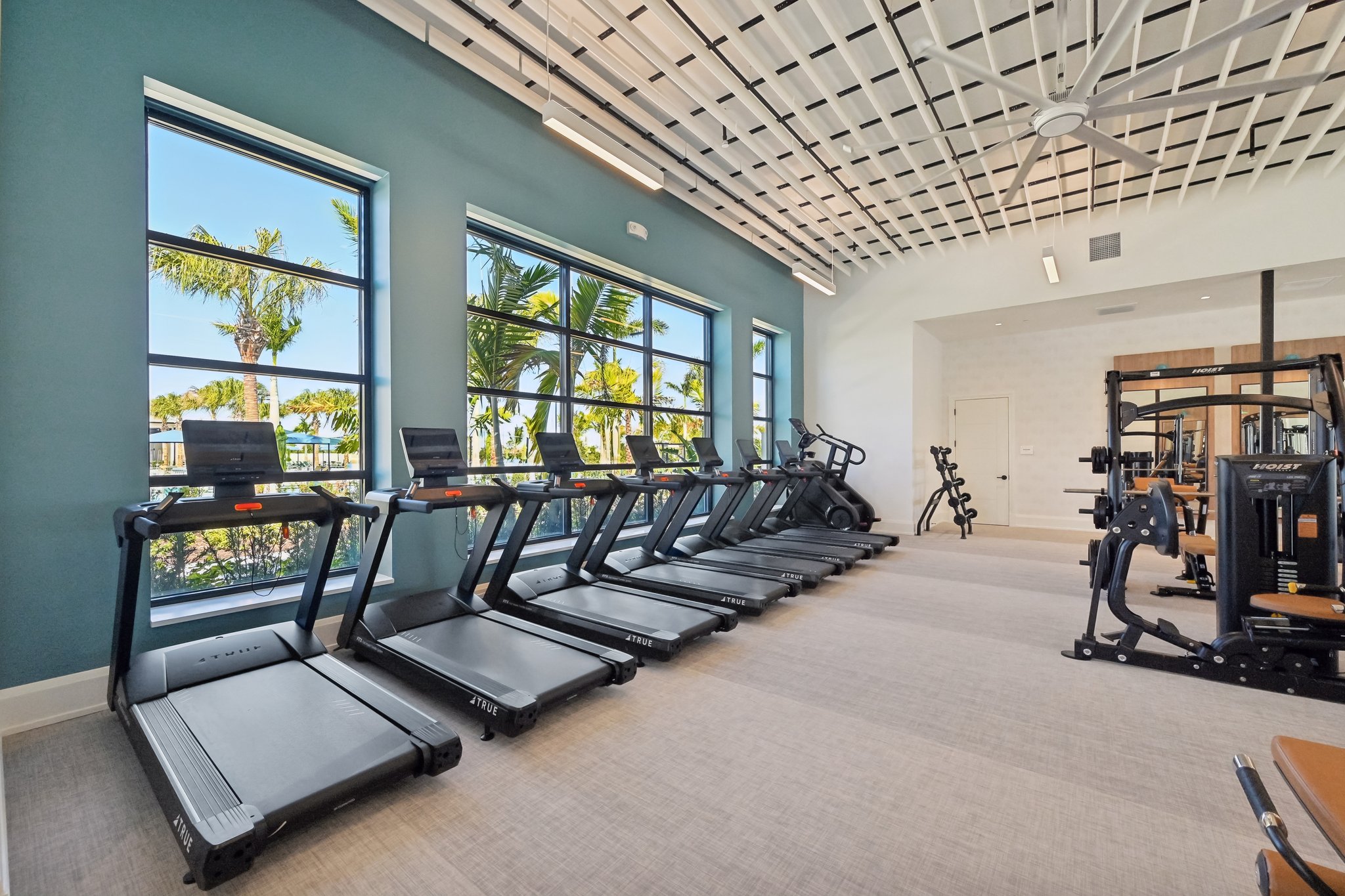 Boundless Ter-2801-908.jpg