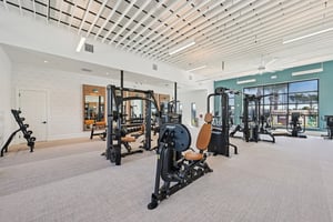 Boundless Ter-2801-909.jpg