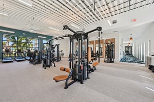 Boundless Ter-2801-910.jpg