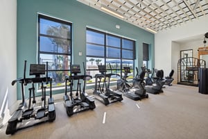 Boundless Ter-2801-912.jpg