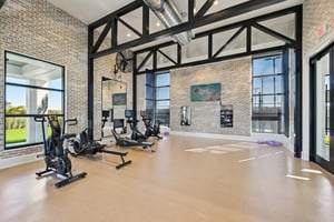 Boundless Ter-2801-913.jpg