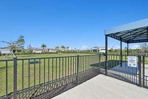 Boundless Ter-2801-916.jpg