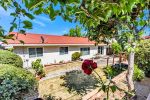 049_ 1135 Elmsford Dr 