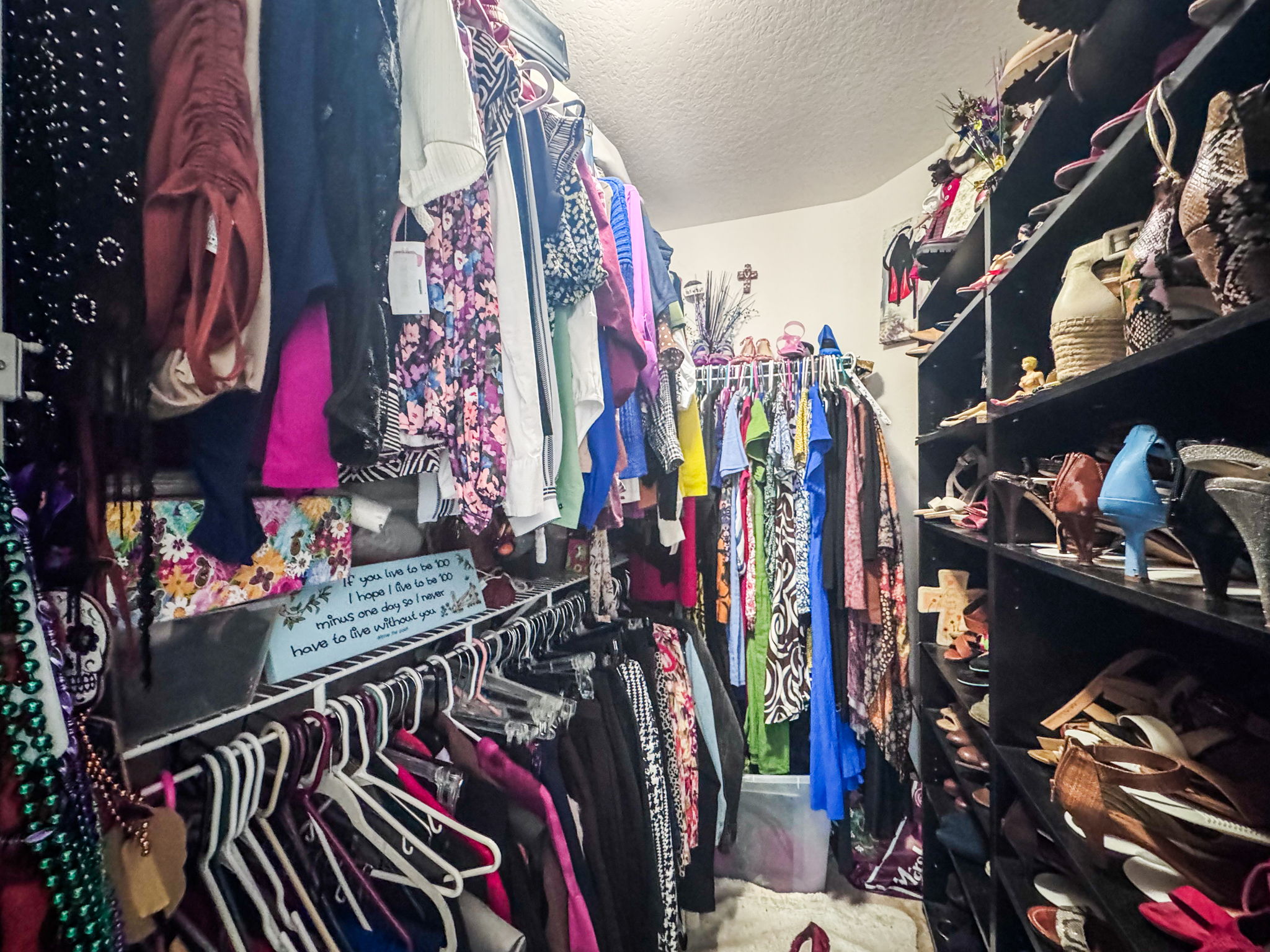 BR1 Closet - IMG_7858