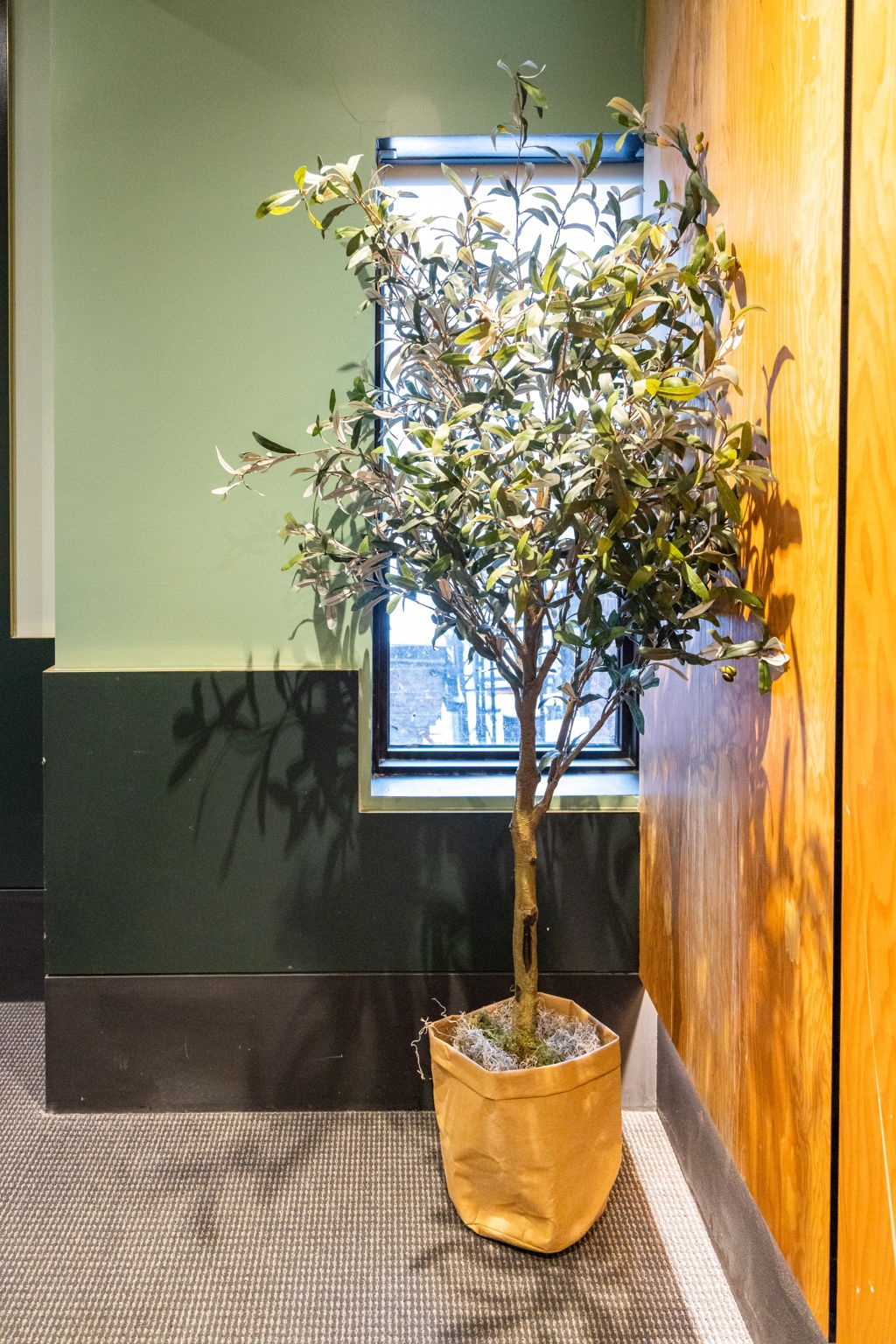 Toronto property showcase — delivered property photograph 30