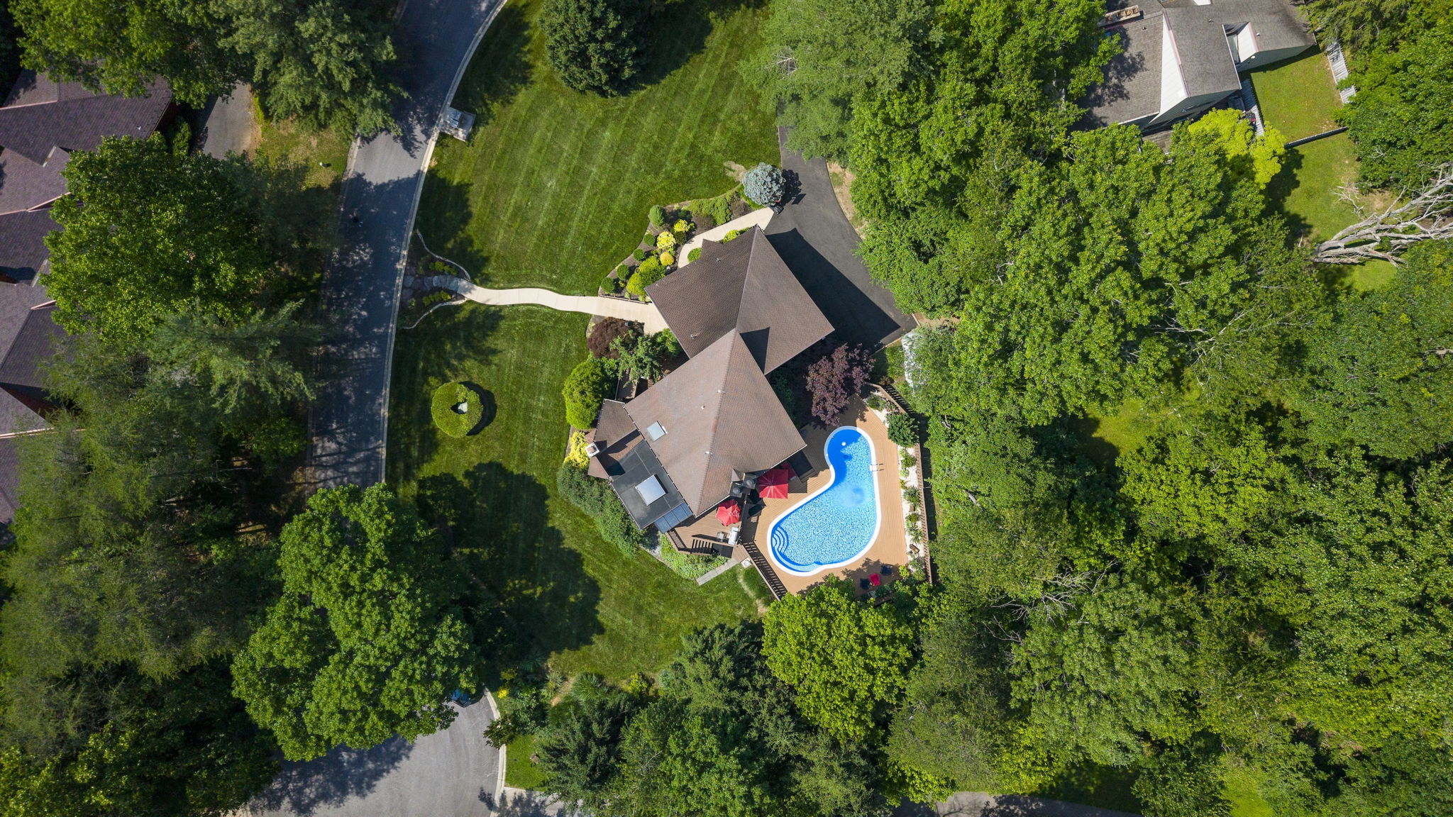 Heathertoe Drone 6