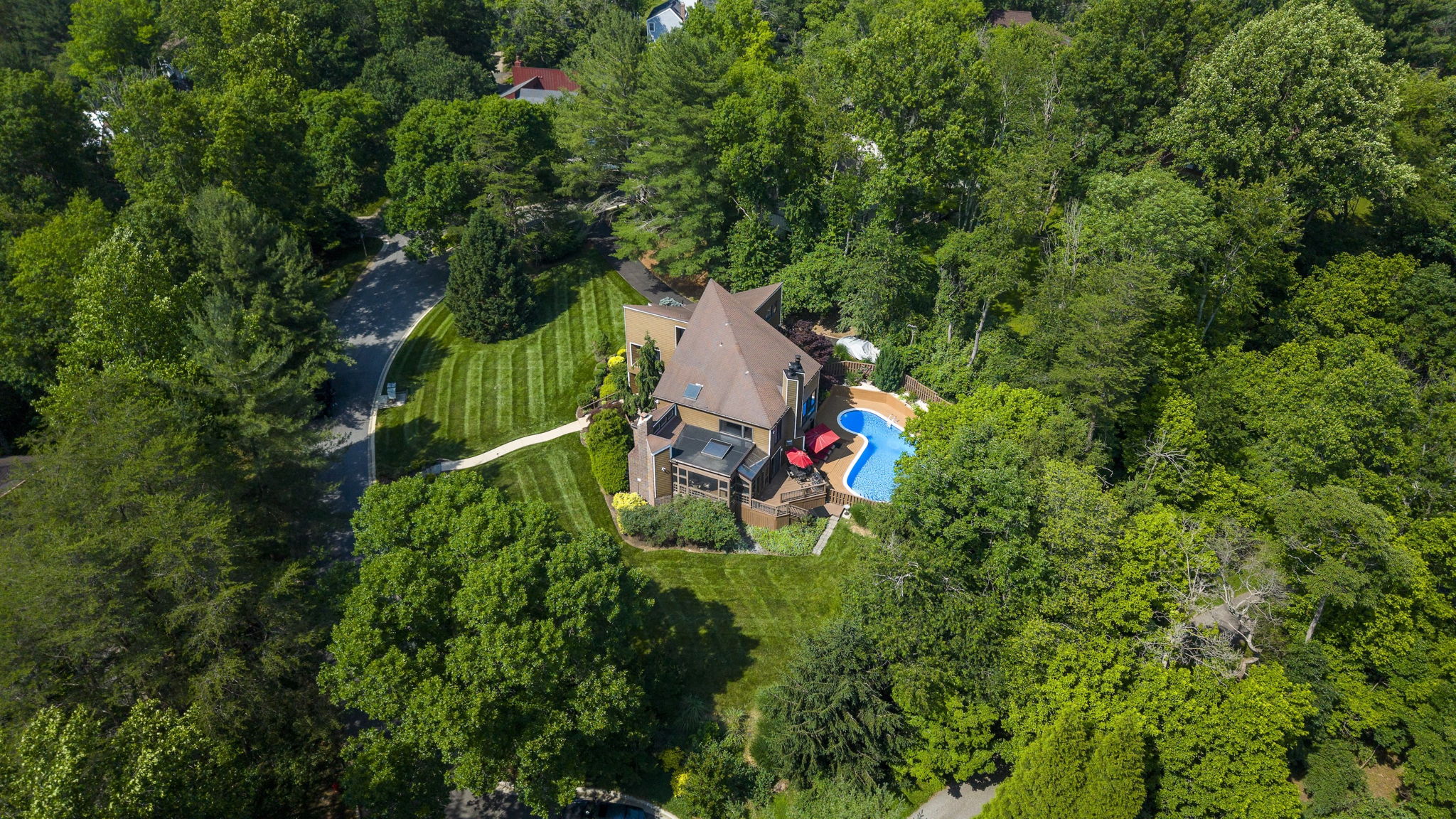 Heathertoe Drone 9