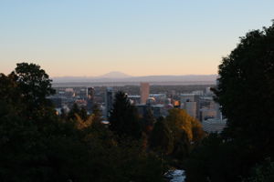  Photo 33