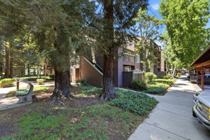 031_F8_1137 Yarwood Ct