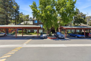 035_F8_1137 Yarwood Ct