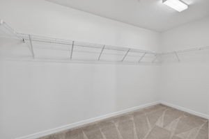 Primary Bedroom Walk-In Closet