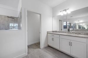 Primary bathroom (2)