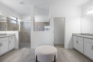 Primary Bathroom (3)