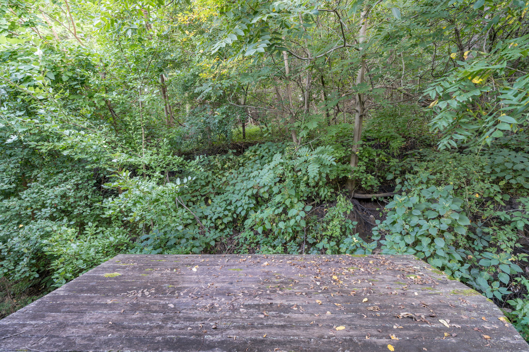  Photo 47