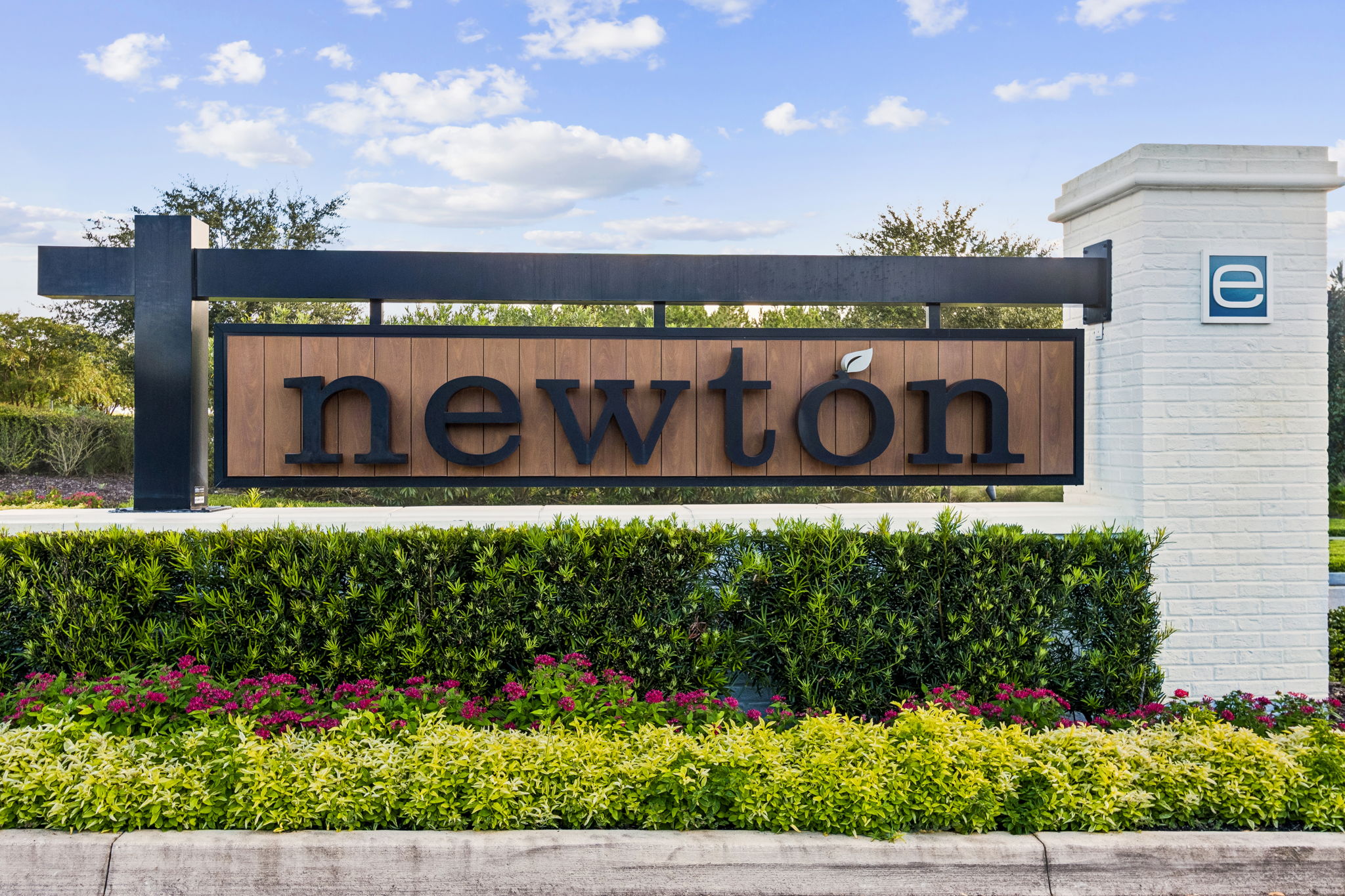 Newton