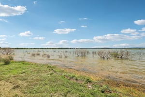 Agarita Dr-S0505-048.jpg