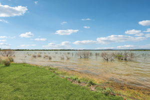 Agarita Dr-S0505-048r