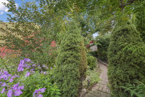  Photo 52