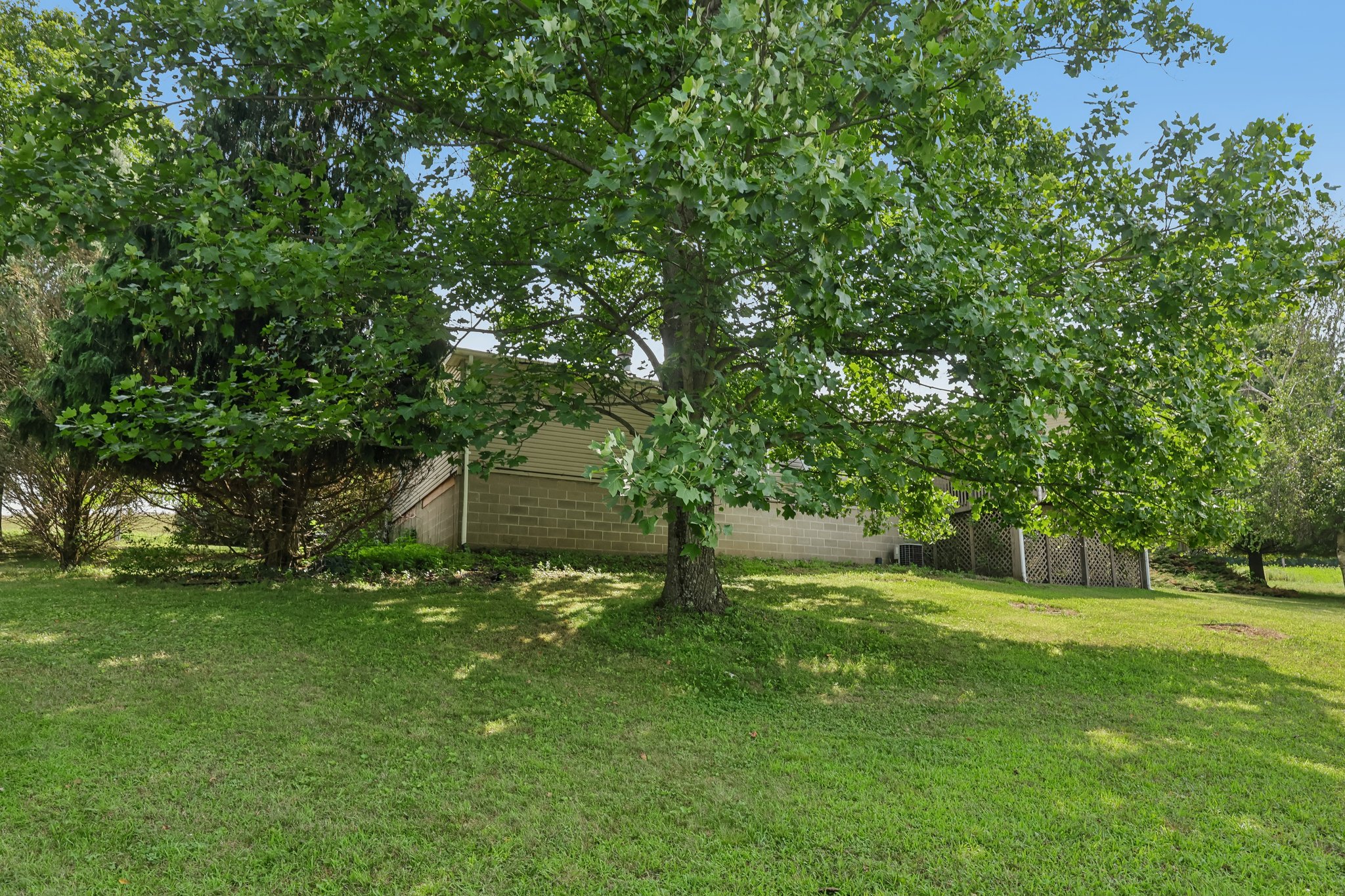 Cowart Rd-S1607-041.jpg