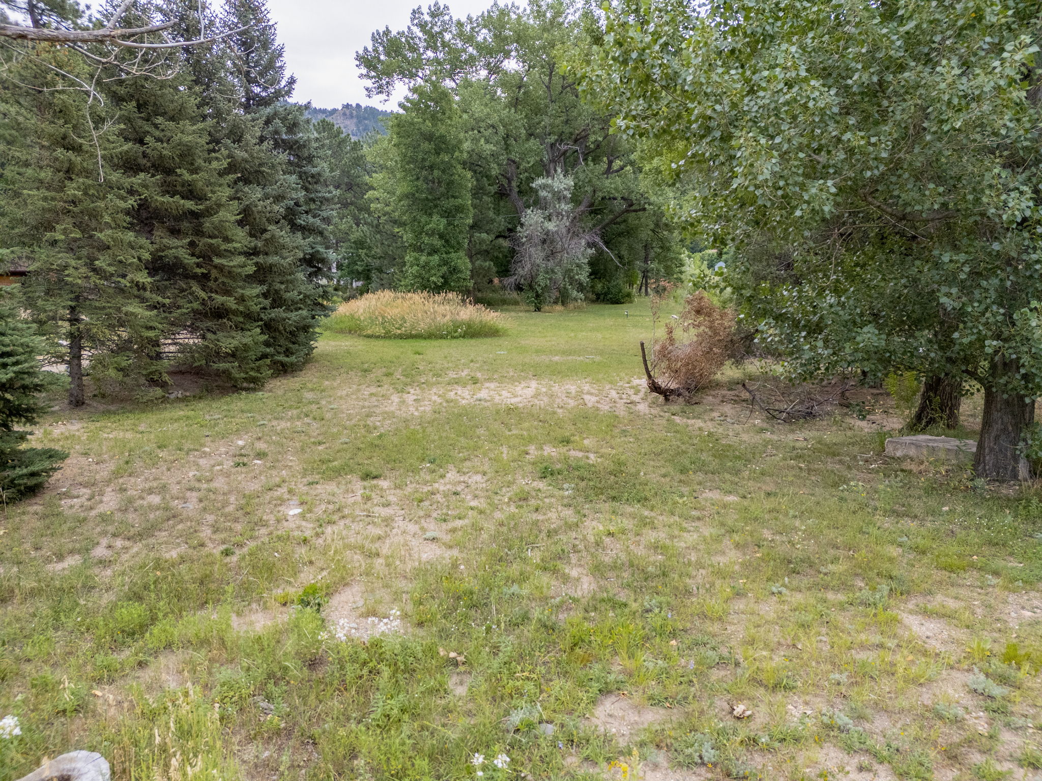  Photo 42