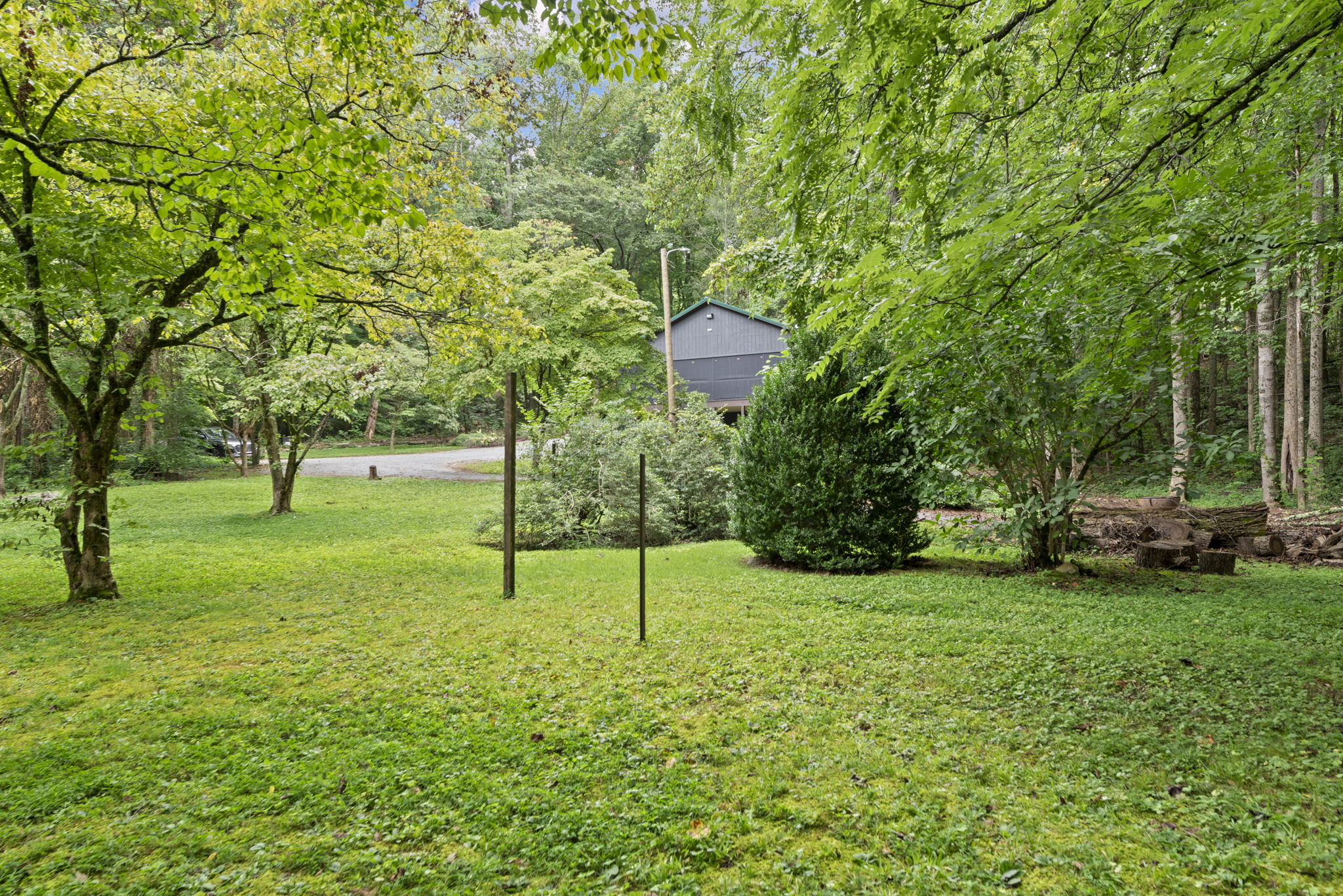 Photo 48