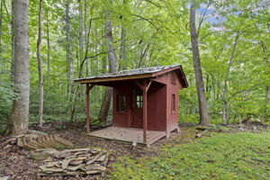  Photo 45