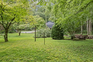  Photo 47