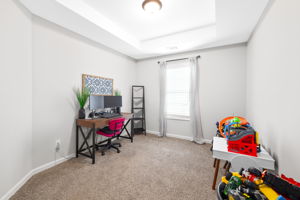 Image-15