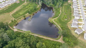 Image-43