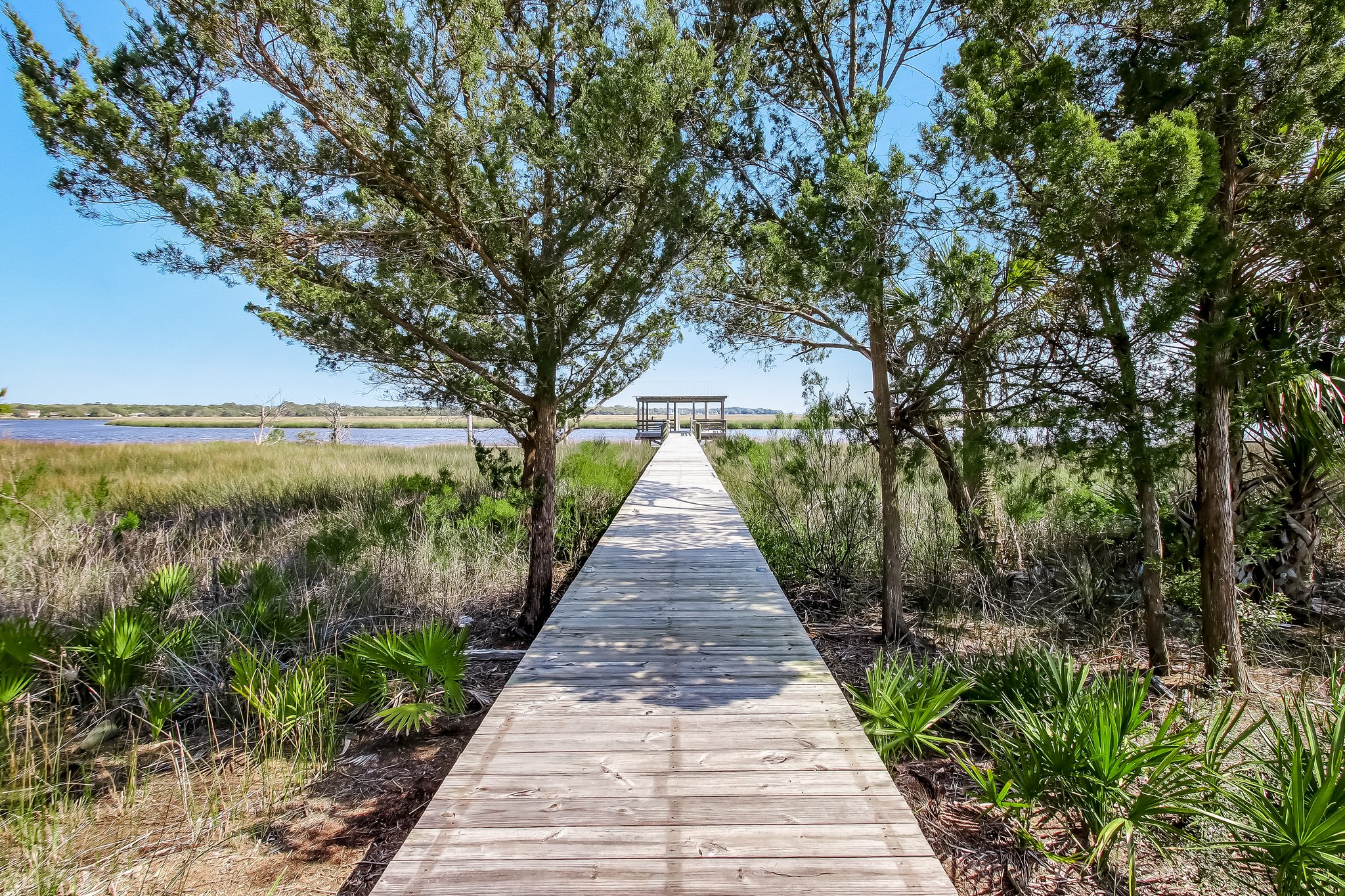 Cumberland Palms