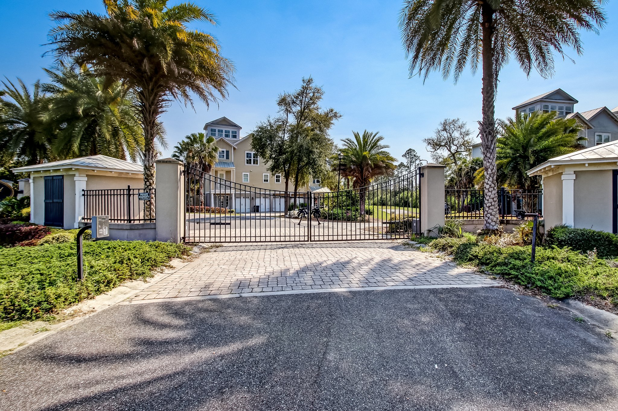 Cumberland Palms