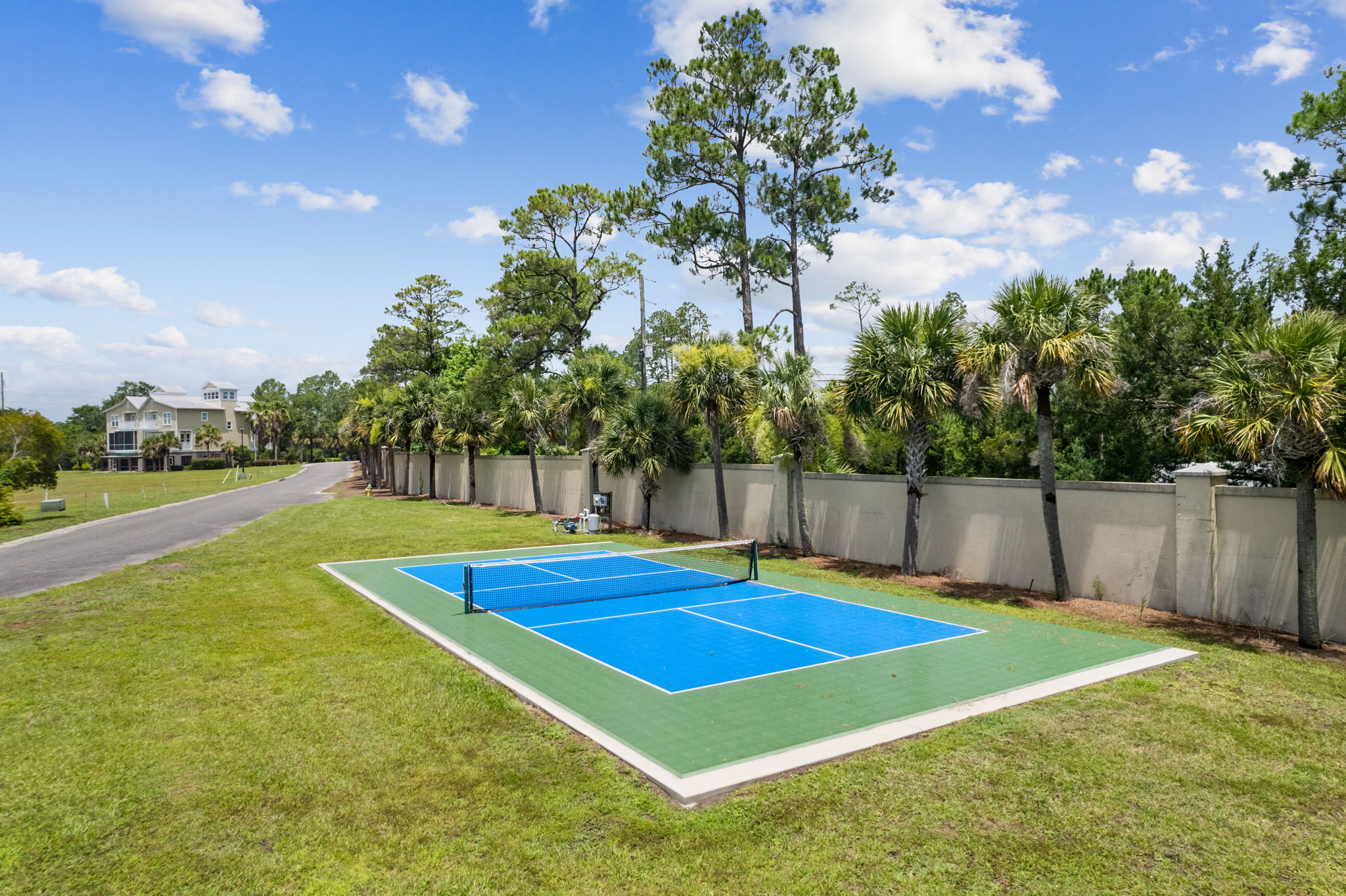 Cumberland Palms