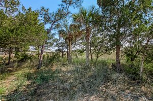 Cumberland Palms