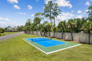 Cumberland Palms