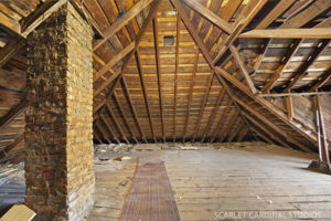  Photo 51