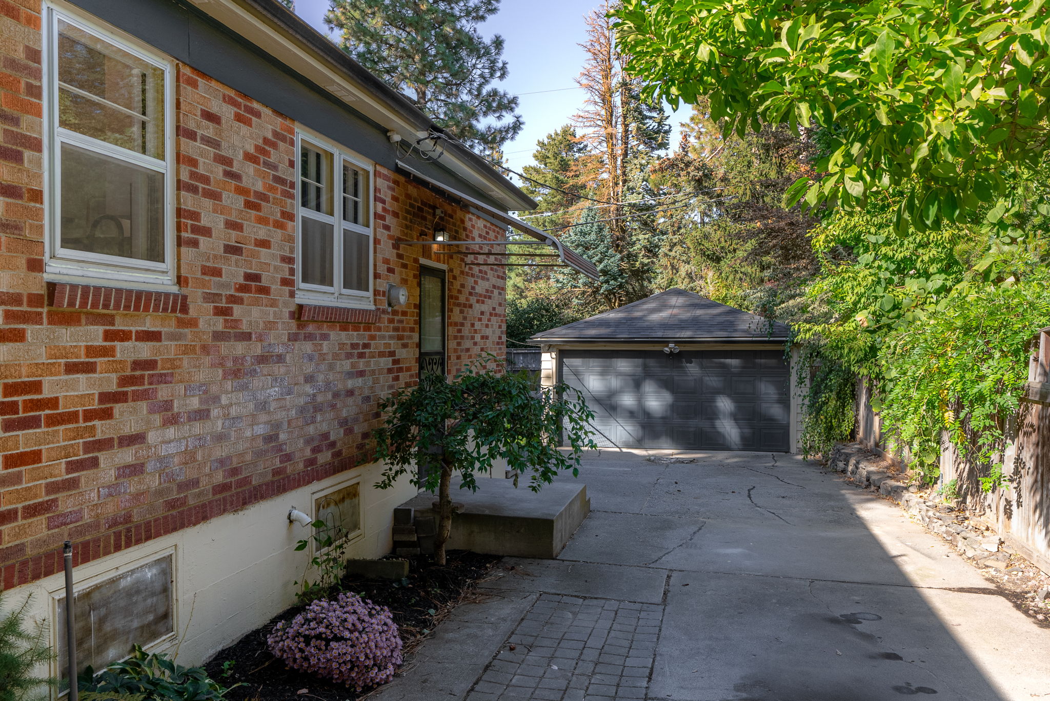  Photo 38